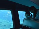 【半潜水式水中観光船「シースカイ博愛」】水深25mの美しい海の世界をお楽しみください。