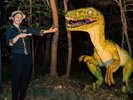 ジュラピングツアー(無料)