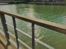 River sideを楽しむ River View