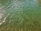 River sideを楽しむ River View
