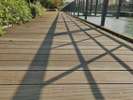 River sideを楽しむ River View