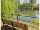 River Sideを楽しむ 散歩