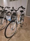 【ロビー】レンタサイクル