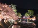 幻想的な夜桜ライトアップは春の高山の魅力の1つです。