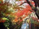 【江名子川】高山市を流れる江名子川の紅葉
