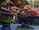 庭 紅葉期