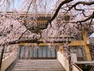 曹洞宗八屋山普門寺