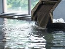 【金沙の湯・男湯】泉質はカルシウム・ナトリウム硫酸塩塩化物泉。入浴後は身体がポカポカです♪