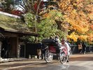 ■周辺観光|四季折々、様々な風景が楽しめる角館武家屋敷
