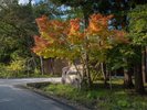 ■外観|紅葉が迎える優雅なひととき