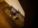 ■松葉■和をテーマにした2階建ての棟です。