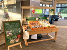 良心市farmers'マルシェ毎日開催 朝7時頃から11時頃まで※7月〜9月はお休みします。