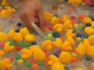 館内イベント【縁日】|お子様に人気のアヒルすくい