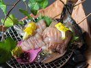 ■別注料理■岩魚姿造り(単品)/虹鱒姿造り(単品)