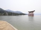 �C�݂���̑咹��