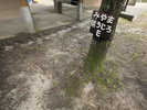 ・【みやまほうじろE駐車場】みやまほうじろEに宿泊のお客様がご利用いただける駐車場