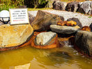 ・【尾白の湯】当館定番の源泉露天風呂。ゆっくりと浸かってみてください♪