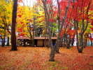 紅葉が美しい見晴公園