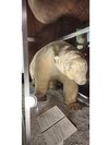 【函館市北洋資料館】厳しい北洋漁業に生きてきた先人たちのことを識れる