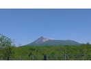 【北海道駒ヶ岳】標高1,131mの活火山。