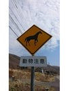 【動物注意】馬出没注意