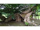 【パワースポット】白木山橡木神社
