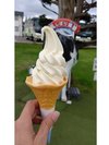 【函館牛乳あいす118】函館牛乳で有名なメーカーの濃厚なソフトクリーム