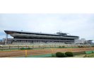 【函館競馬場】外観 (コース側)