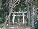 【塩川御嶽】多良間島にある伝統的な聖地(御嶽)。島の信仰や祭祀文化を今に伝える場所。