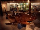 写真提供:鳥取県 日本最大級の魚のはく製ミュージアム。