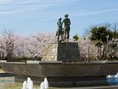 写真提供:鳥取県 米子市民の憩いの場として昔から現在まで幅広い世代に親しまれています。