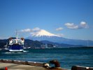 【駿河湾フェリー】「土肥港」までクルージングも可能!ワンちゃんもご乗船可能です。(一例)