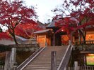 【修善寺】秋は紅葉が見頃を迎えます。夕陽と共にお愉しみください。※当館からお車で約10分