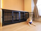 【洋室ツイン】ゆとりあるワンちゃん用ケージ完備