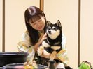 【和室】和の空間で愛犬と快適に滞在可能