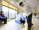 【屋内遊び場】わんちゃんとの“遊ぶ時間”をもっと特別に