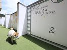 【屋外フォトスポット】ゆるり西伊豆限定デザインをご用意