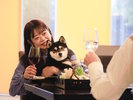 【レストラン】愛犬と離れず過ごせる、安心のお食事空間