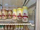 【牛乳自販機】温泉旅の定番“湯上がり牛乳”をご用意