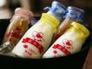 【牛乳自販機】100%伊豆産ミルクのやさしい味わいを堪能