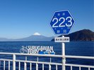 【駿河湾フェリー】富士山と駿河湾を望む絶景クルーズ