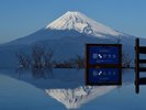【伊豆パノラマパーク】富士山と駿河湾を望む絶景スポット