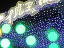 【修善寺虹の郷】光に包まれる冬だけの特別な景色