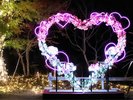 【修善寺虹の郷】心ときめく幻想的な夜景