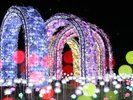 【修善寺虹の郷】園内を彩る美しい光の世界