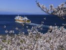 【駿河湾フェリー】駿河湾から望む季節の移ろい