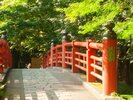 【修善寺/桂橋】温泉街を代表する朱色の名橋