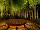 【修善寺/竹林の小径】夜には幻想的なライトアップも開催