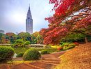 新宿御苑まで徒歩圏内