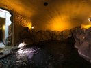 �y���A���C�z���̊ό������u�S�̊≮�v���C���[�W�������A���C
